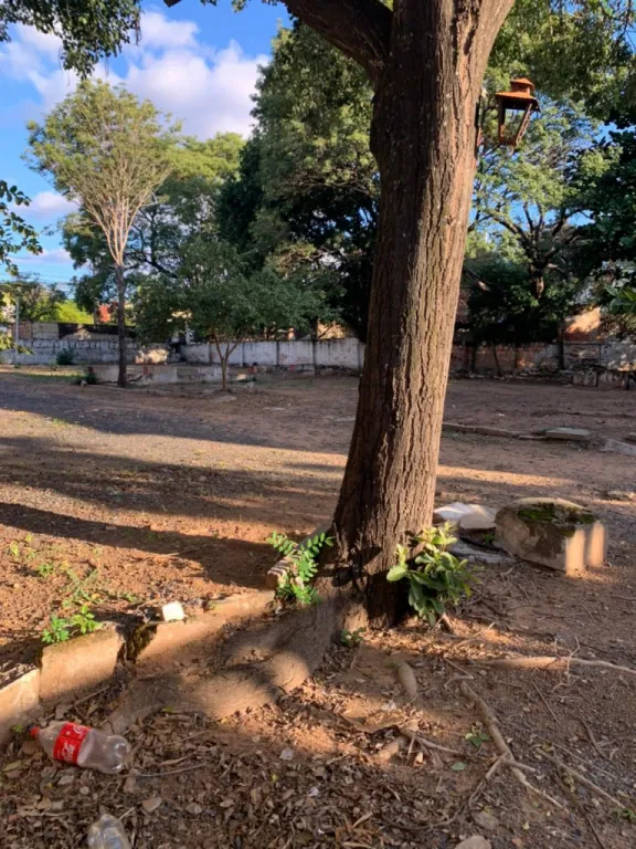VENDO AMPLIO TERRENO EN BARRIO JARA — foto 2