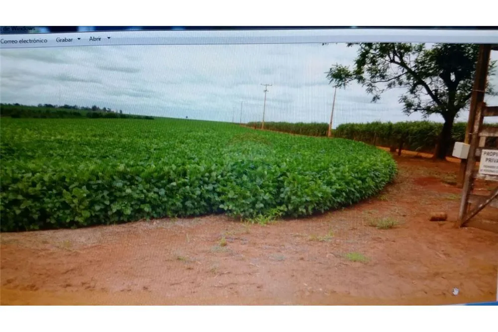 EN VENTA CAMPO AGRICOLA 388HECTAREAS EN SANTA RITA 3,880,000 USD — foto 2
