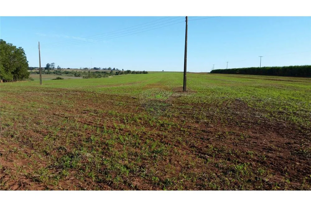 EN VENTA CAMPO AGRICOLA 388HECTAREAS EN SANTA RITA 3,880,000 USD — foto 3