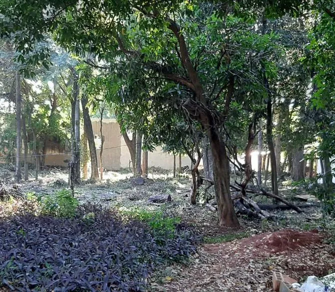 PROPIEDAD EN FERNANDO DE LA MORA - KM 8 — foto 2