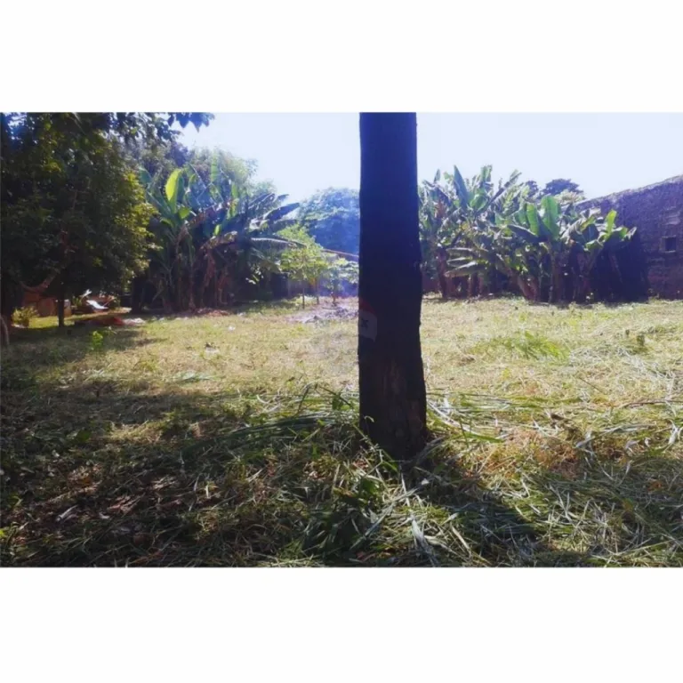 ¡¡VENDO TERRENO EN CIUDAD DEL ESTE!! OFERTA!! — foto 3