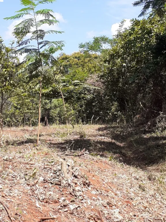 VENDO TERRENO EN ATYRA — foto 2