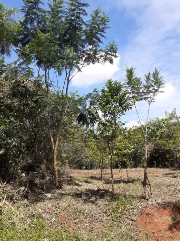 VENDO TERRENO EN ATYRA — foto 3