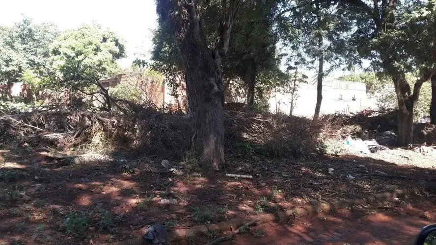 Vendo terreno ubicado en el centro de la paloma, Canindeyu — foto 2