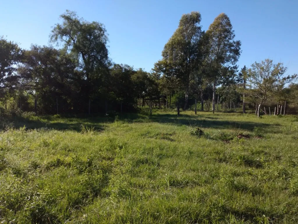 Oferta Terreno en Ypane — foto 2