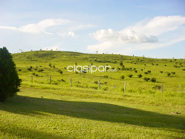 DPTO. DE AMAMBAY - EN VENTA EXCELENTE PROPIEDAD RURAL - LOCALIDAD DE ESTRELLA — foto 2