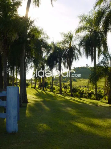 DPTO. DE AMAMBAY - EN VENTA EXCELENTE PROPIEDAD RURAL - LOCALIDAD DE ESTRELLA — foto 3