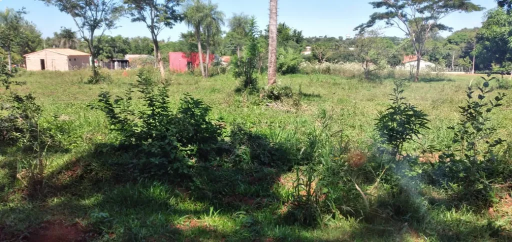 EN VENTA TERRENO EN CAPIATA — foto 2