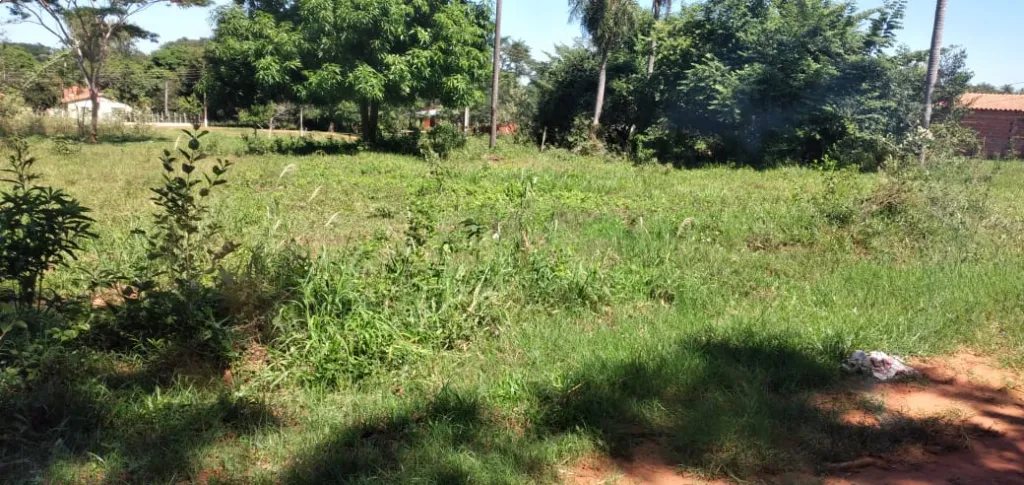 EN VENTA TERRENO EN CAPIATA — foto 3
