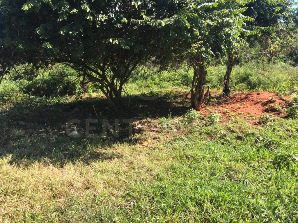 VENDO TERRENO EN AREGUA — foto 2