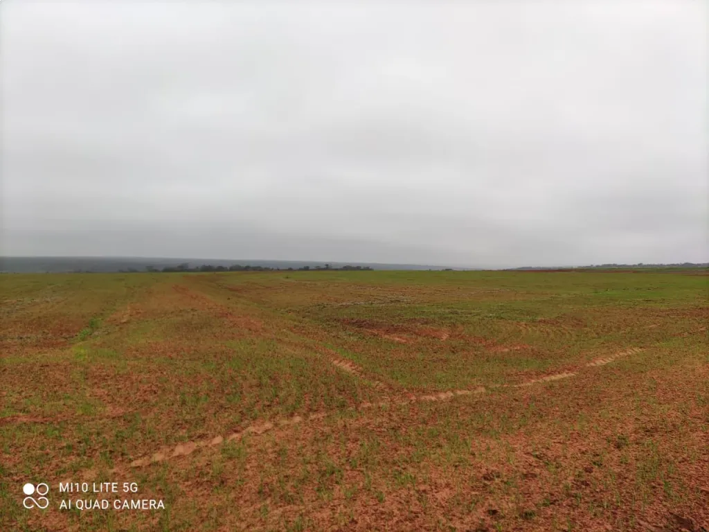 358 HA, AGRICGANADERO GRAL E AQUINO — foto 2