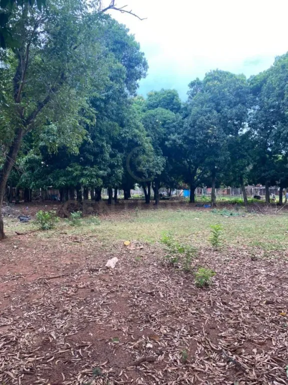 Propiedad Laurelty Luque 3.622 mts2. — foto 2