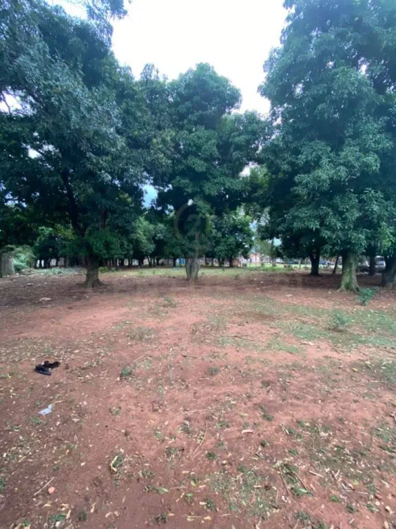 Propiedad Laurelty Luque 3.622 mts2. — foto 3