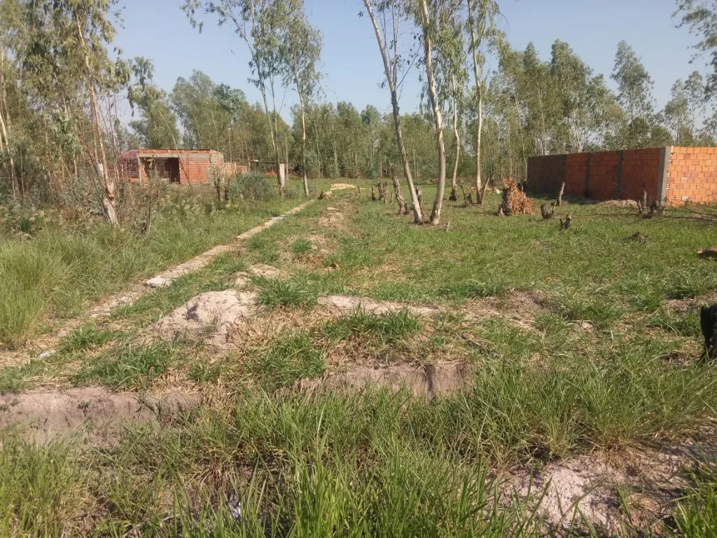 CONVERSABLE - VENDO 2 TERRENOS EN LIMPIO ISLA AVEIRO FACIL ACCESO A RUTA 3 Y A ASUNCION — foto 3