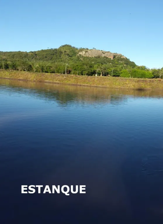 ¡VENDO AMPLIA PROPIEDAD EN PARAGUARI! — foto 3