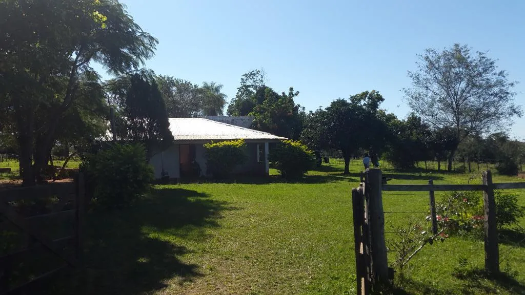 28 Ha en San Estanislao, Ganadera en producción, Inversión asegurada. — foto 2