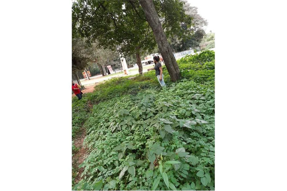 Amplio terreno en Areguá — foto 3