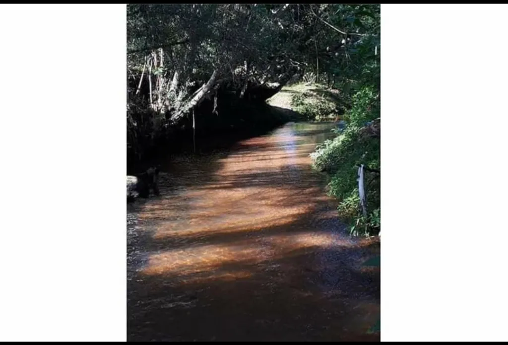 Terreno de 2.500 M2 con arroyo, sobre asfaltado — foto 2