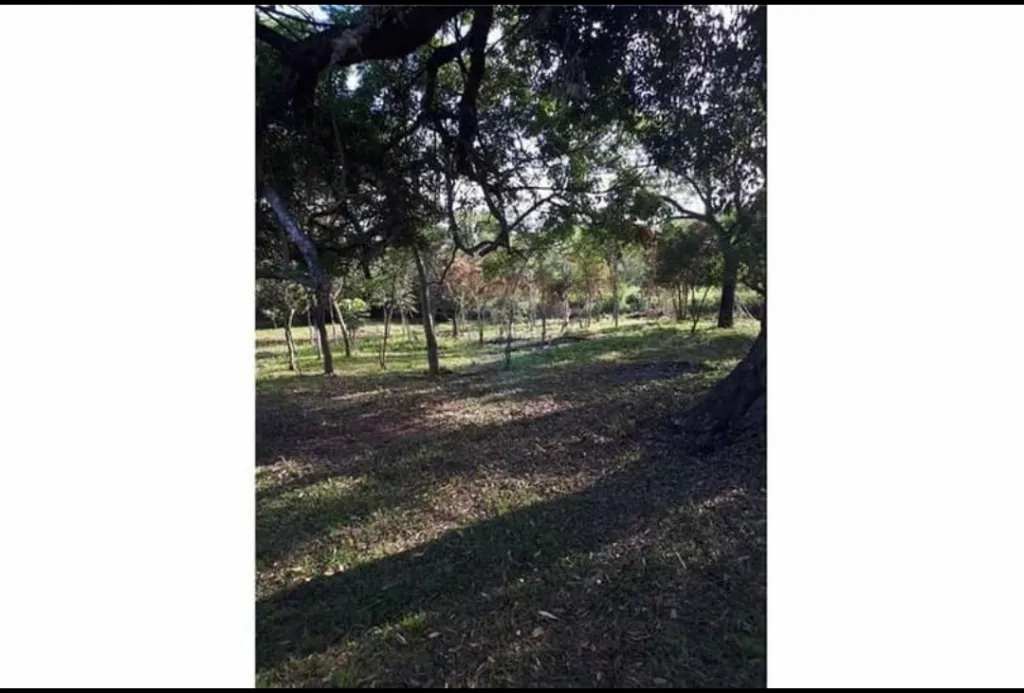 Terreno de 2.500 M2 con arroyo, sobre asfaltado — foto 3