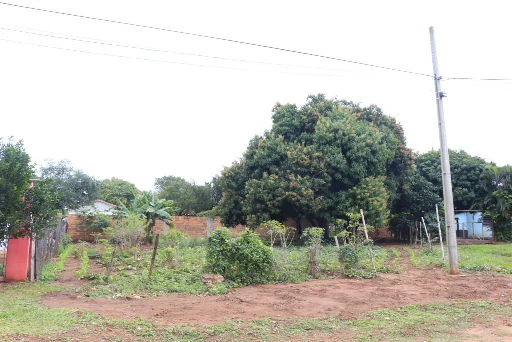 Vendo amplio terreno en Toledo Cañada - Capiatá — foto 3