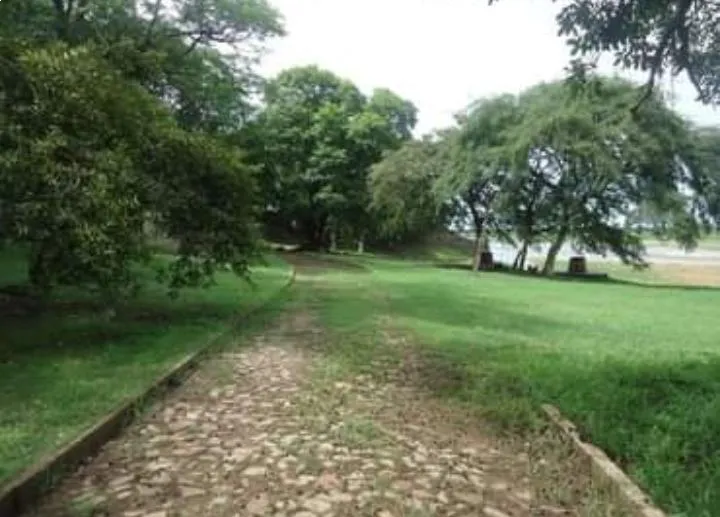 VENDO 3 HECTÁREAS EN ASUNCIÓN ZONA CERRO LAMBARÉ. A METROS DEL PROYECTO COSTANERA. — foto 3