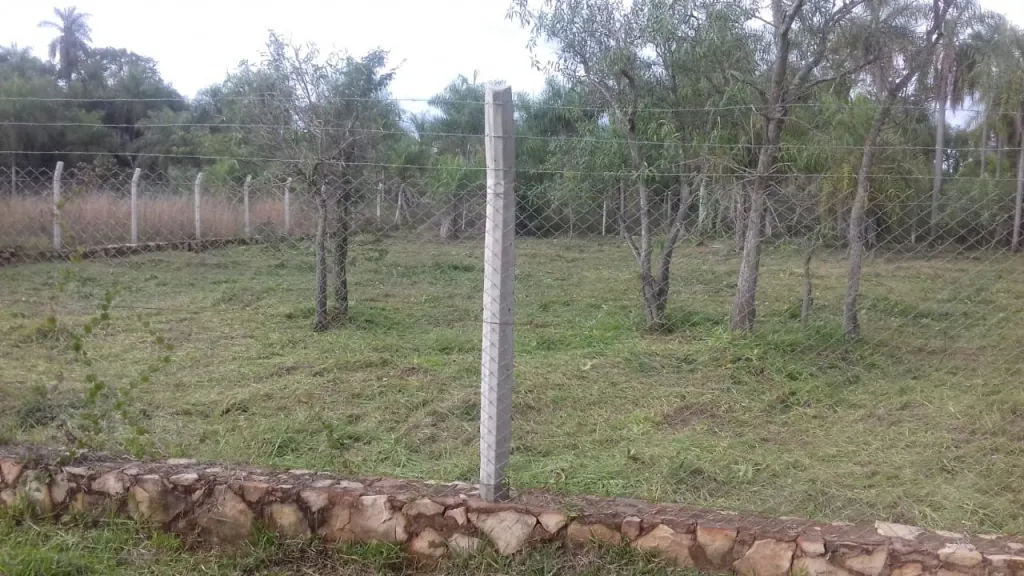 2 terrenos en El cortijo San Bernardino — foto 2