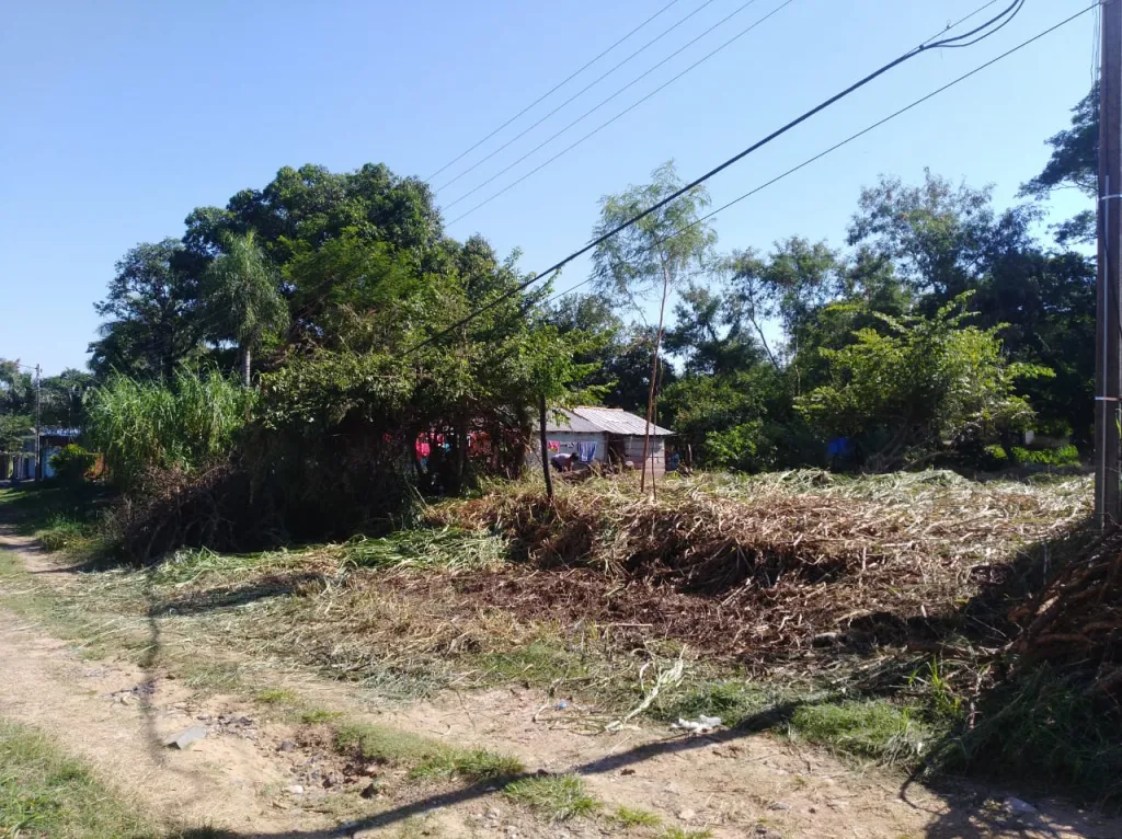 VENDO TERRENO EN MARIANO R. ALONSO!! — foto 2