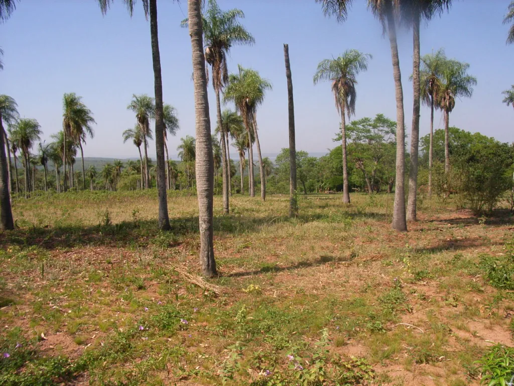 Hermoso Terreno con Vista al Lago — foto 2