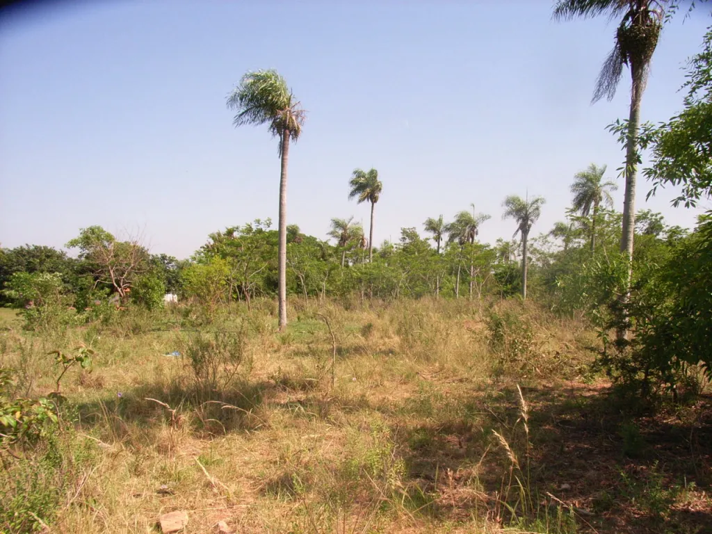 Hermoso Terreno con Vista al Lago — foto 3