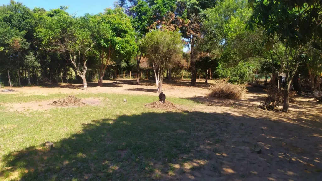 Vendo hermoso terreno en coratei (Ayolas) — foto 2