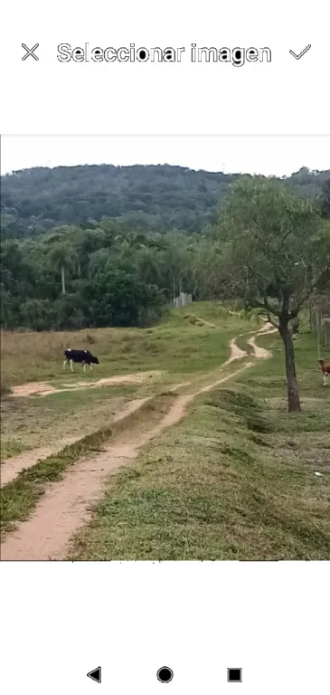 TİTULADO — foto 3