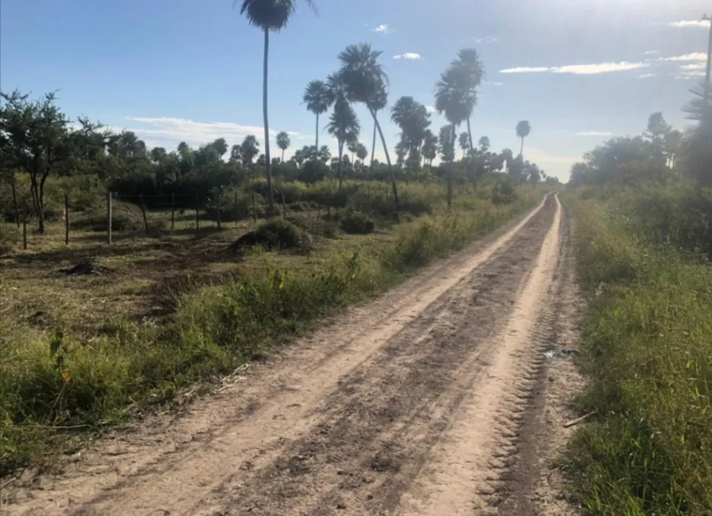 VENDO HECTAREAS — foto 2