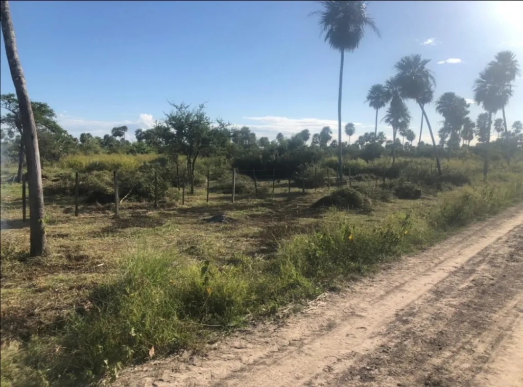 VENDO HECTAREAS — foto 3