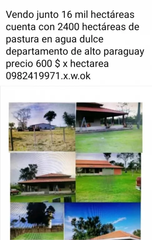 TİTULADO — foto 2