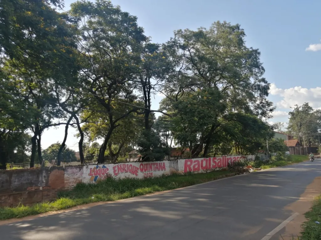 Vendo importante terreno en Luque — foto 2