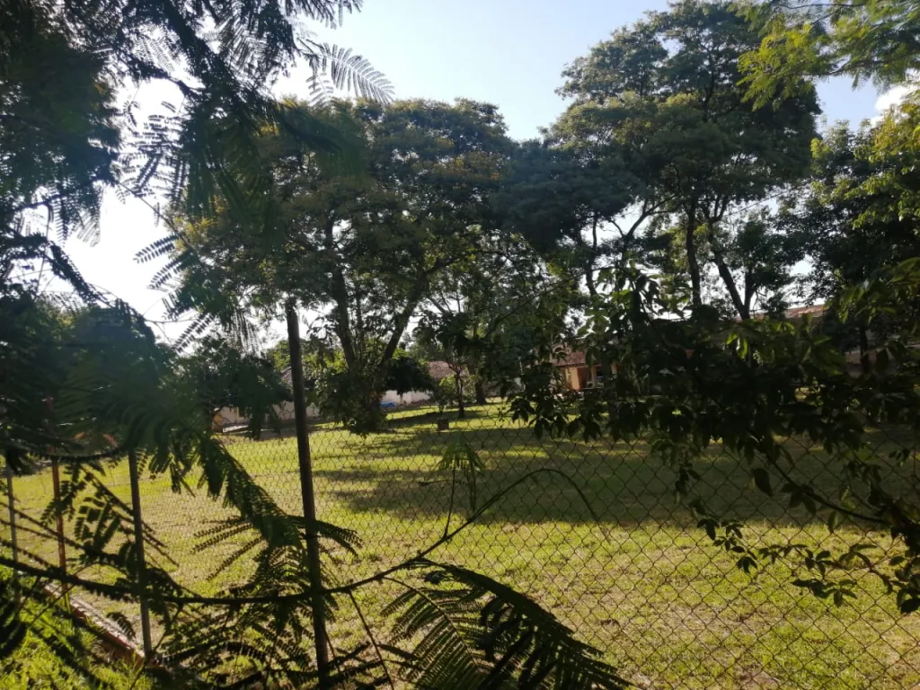Vendo importante terreno en Luque — foto 3