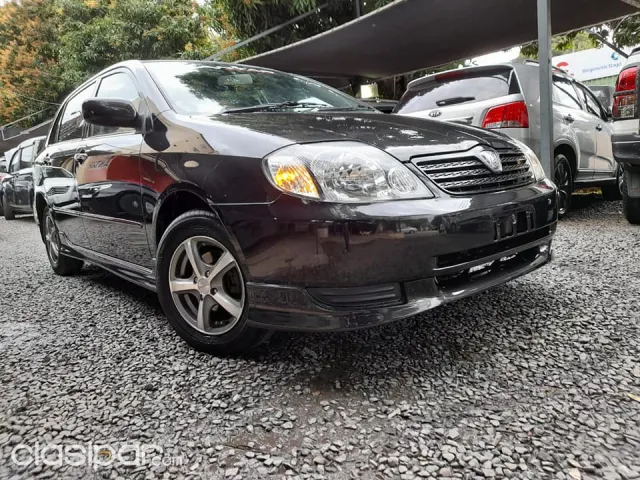 Toyota Allex 2001 — foto 2