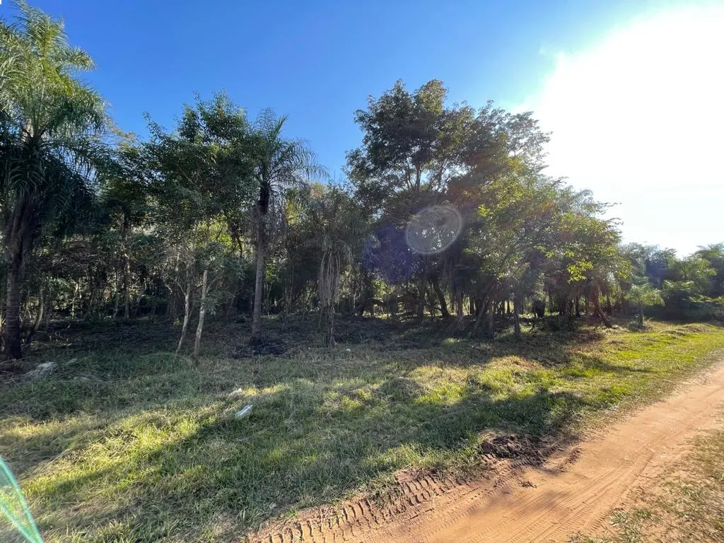 3 lotes juntos en San Bernardino — foto 2