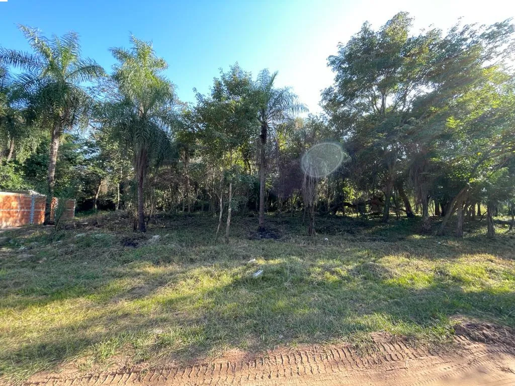 3 lotes juntos en San Bernardino — foto 3