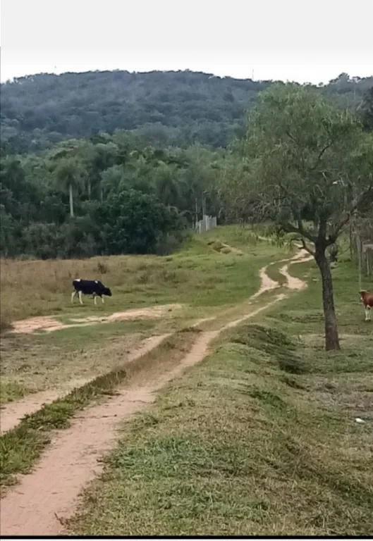 TİTULADO — foto 2