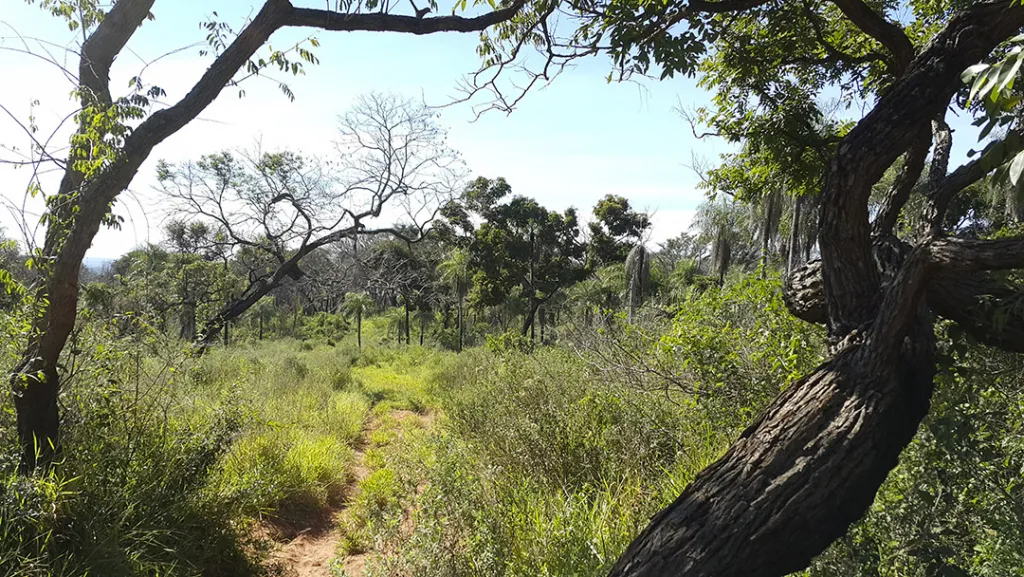 Areguá, Cerro Guggiari Las Mercedes — foto 2