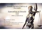 Ofrezco servicios de asesor jurídico