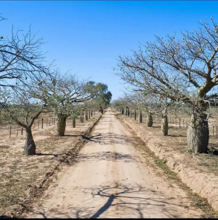 La estancia a la venta tiene 7876 HAS — foto 2
