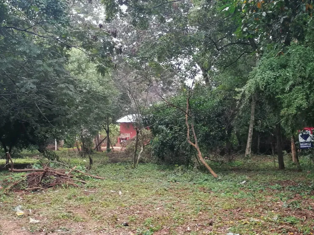 VENDO AMPLIO TERRENO EN YPANE — foto 2