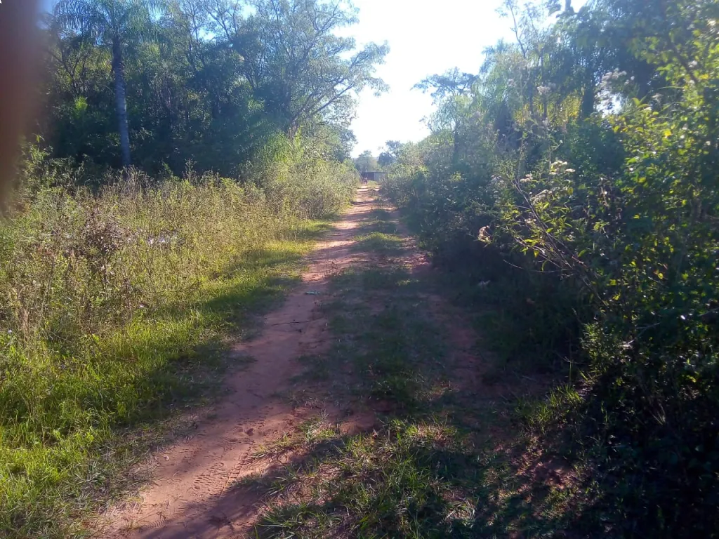 Hermoso terreno en Altos, muy cerca del centro — foto 3