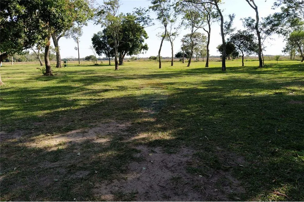CAMPO CON IRRIGACION NATURAL PARA CULT. DE ARROZ 9,650,000 USD — foto 3