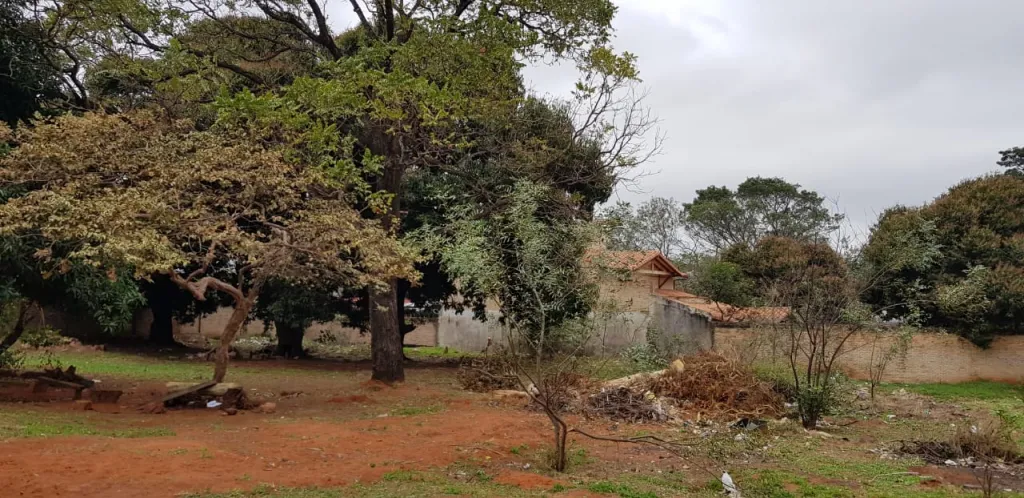 Vendo terreno de 4239 m2 ZONA RCA. ARGENTINA, SUPERMERCADO EL PUEBLO — foto 3