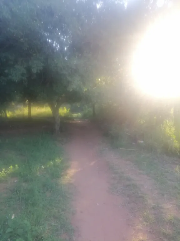 Oferto terreno en zona creciente de capiata — foto 3