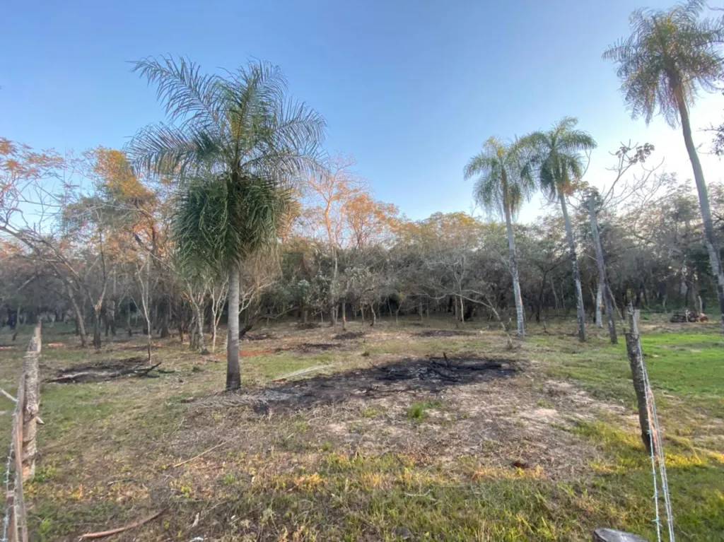 VENDO 5 TERRENOS JUNTOS EN SAN BERNARDINO. ZONA CIERVO CUA — foto 2