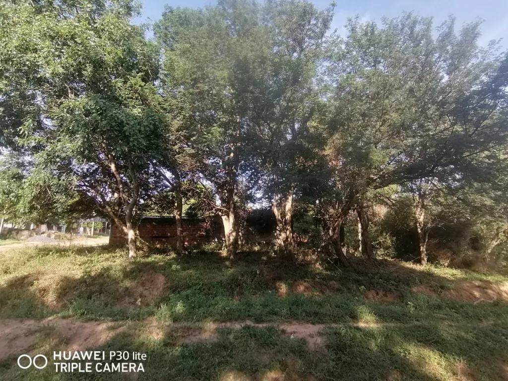Vendo Terreno en Oferta en Ypane, camino nuevo a Villeta — foto 3